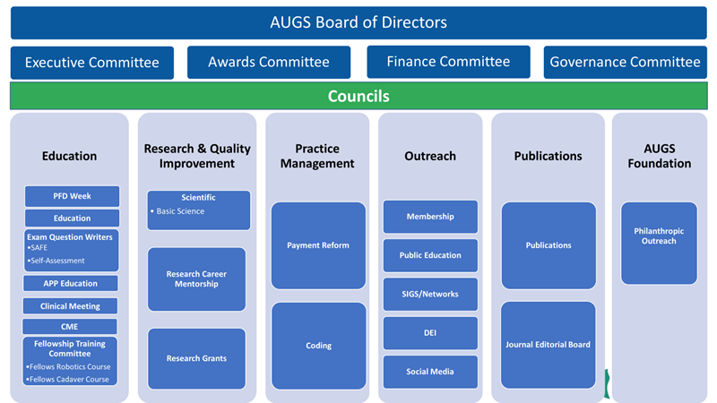 councils and committees 2024